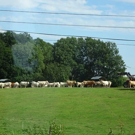 Urlaub Mit Hund Auf Dem Bauernhof Hofswald Apartment *