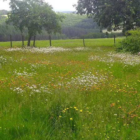 Urlaub Mit Hund Auf Dem Bauernhof Hofswald Appartement