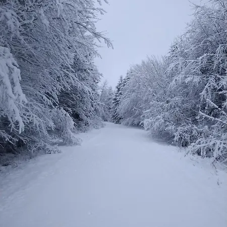 Urlaub Mit Hund Auf Dem Bauernhof Hofswald Appartement *