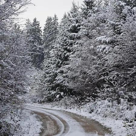 Apartment Urlaub Mit Hund Auf Dem Bauernhof Hofswald Euscheid