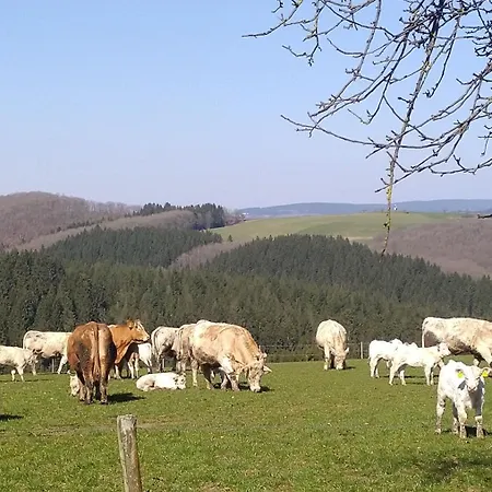 Urlaub Mit Hund Auf Dem Bauernhof Hofswald *