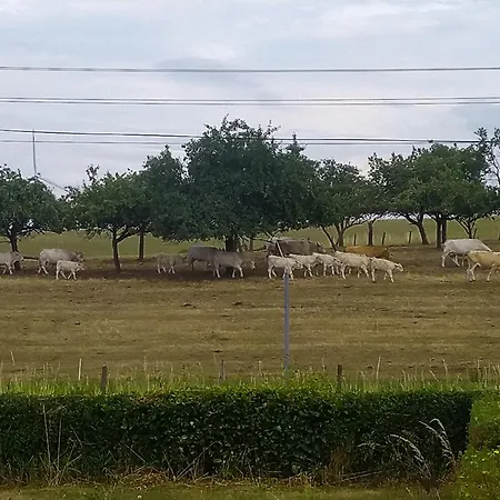Appartement Urlaub Mit Hund Auf Dem Bauernhof Hofswald