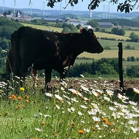 Urlaub Mit Hund Auf Dem Bauernhof Hofswald Euscheid