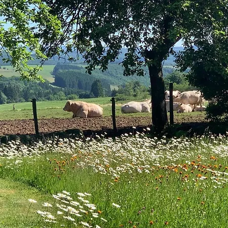 Urlaub Mit Hund Auf Dem Bauernhof Hofswald Apartment Euscheid