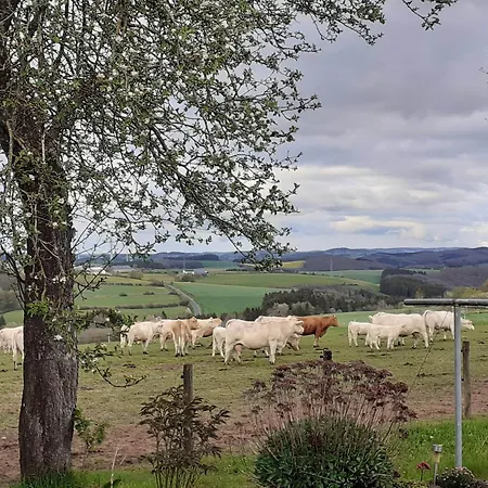Appartement Urlaub Mit Hund Auf Dem Bauernhof Hofswald Euscheid