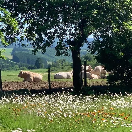 Urlaub Mit Hund Auf Dem Bauernhof Hofswald Euscheid