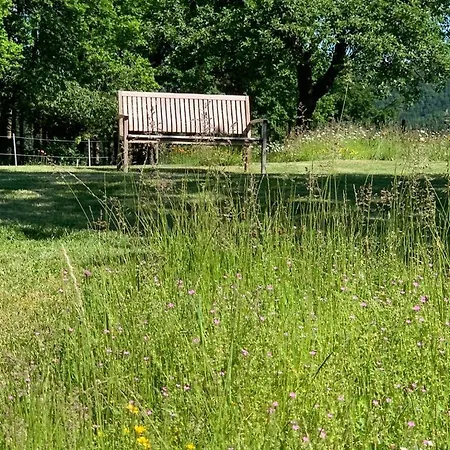Urlaub Mit Hund Auf Dem Bauernhof Hofswald * Euscheid