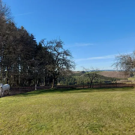 Urlaub Mit Hund Auf Dem Bauernhof Hofswald
