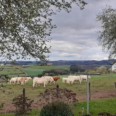 Urlaub Mit Hund Auf Dem Bauernhof Hofswald Appartement