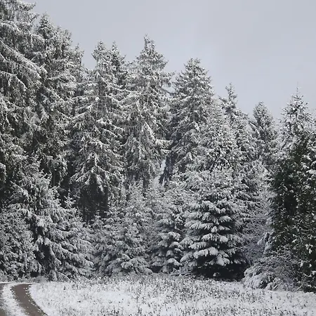 Appartement Urlaub Mit Hund Auf Dem Bauernhof Hofswald