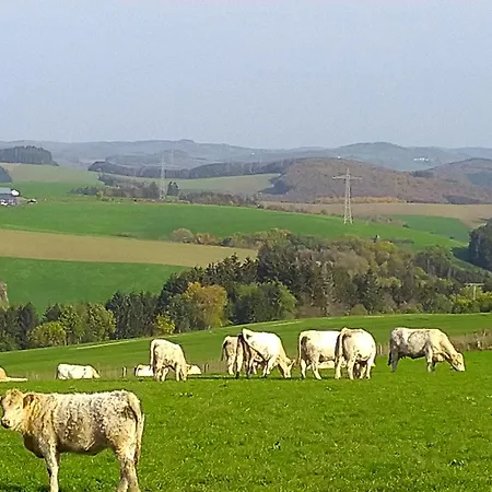 Apartment Urlaub Mit Hund Auf Dem Bauernhof Hofswald *
