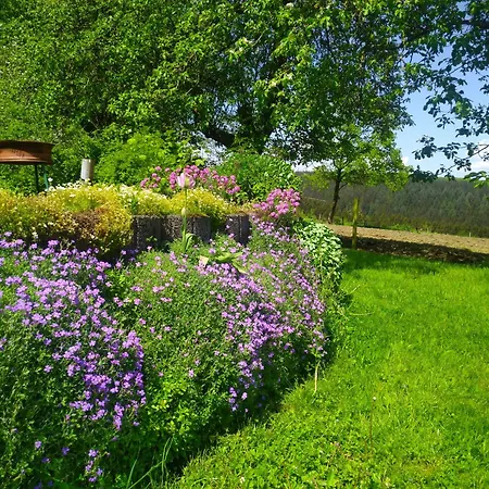Urlaub Mit Hund Auf Dem Bauernhof Hofswald Euscheid