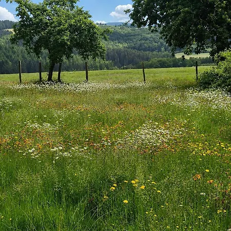 Apartment Urlaub Mit Hund Auf Dem Bauernhof Hofswald Euscheid