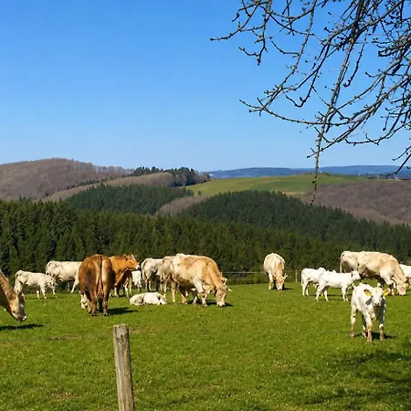 Apartment Urlaub Mit Hund Auf Dem Bauernhof Hofswald *