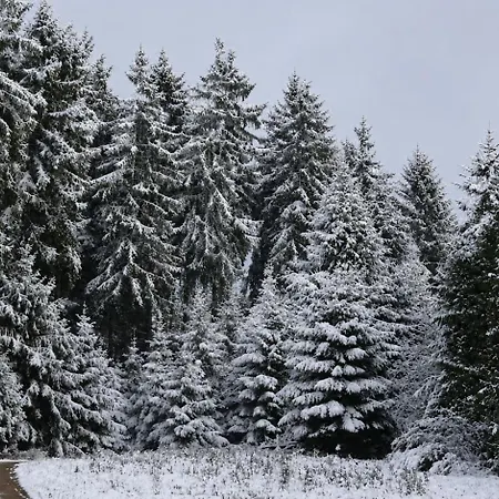 Apartment Urlaub Mit Hund Auf Dem Bauernhof Hofswald