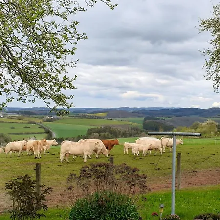 Urlaub Mit Hund Auf Dem Bauernhof Hofswald Apartment Euscheid
