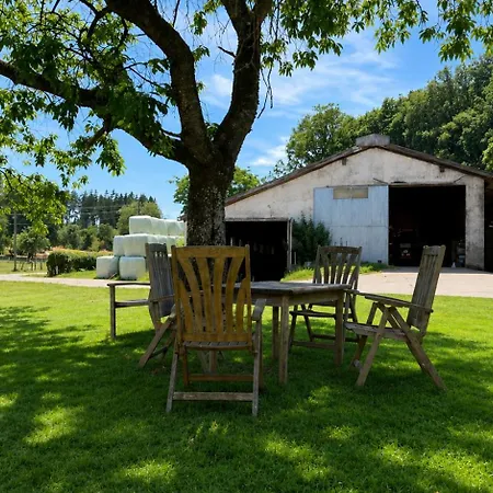 Urlaub Mit Hund Auf Dem Bauernhof Hofswald * Euscheid