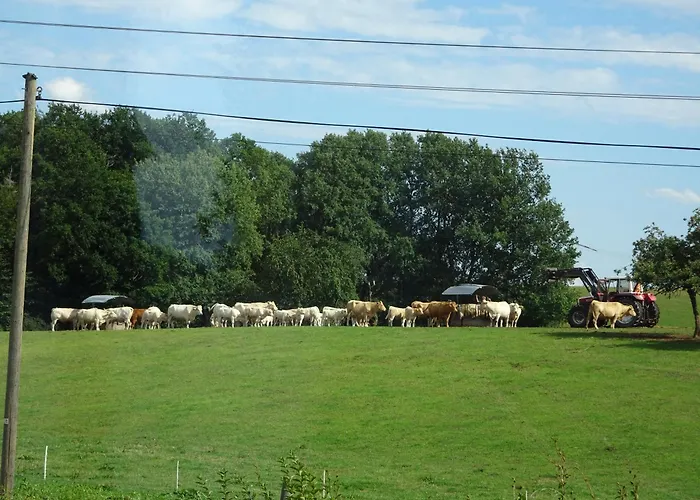 Urlaub Mit Hund Auf Dem Bauernhof Hofswald Appartement *