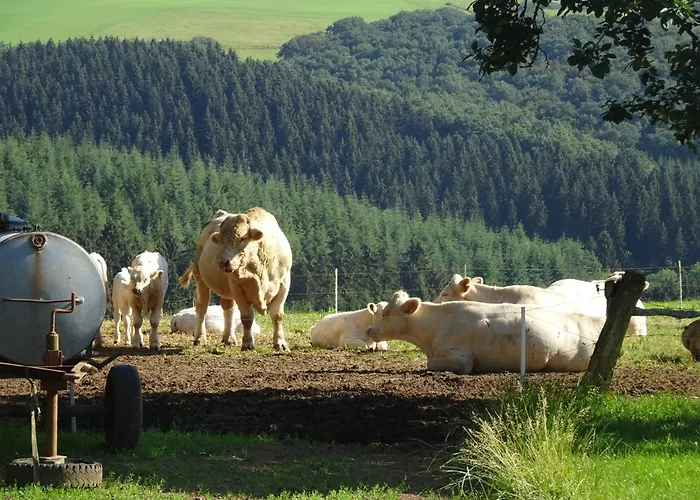 Appartement Urlaub Mit Hund Auf Dem Bauernhof Hofswald *