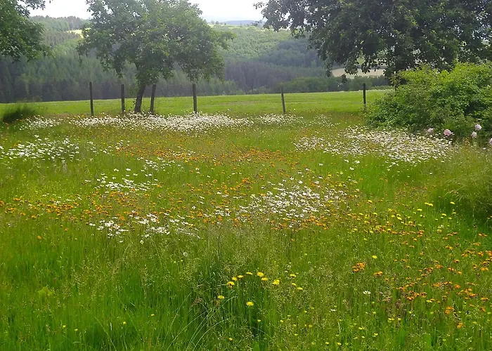 Urlaub Mit Hund Auf Dem Bauernhof Hofswald Appartement