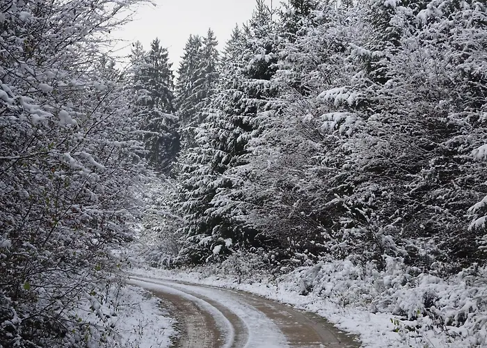 Appartement Urlaub Mit Hund Auf Dem Bauernhof Hofswald Euscheid