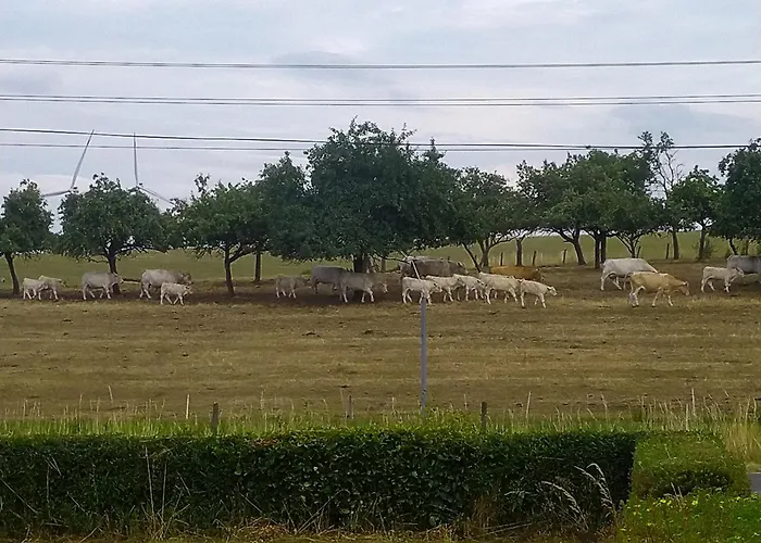 Appartement Urlaub Mit Hund Auf Dem Bauernhof Hofswald