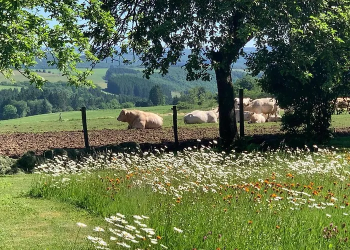 Urlaub Mit Hund Auf Dem Bauernhof Hofswald Appartement Euscheid