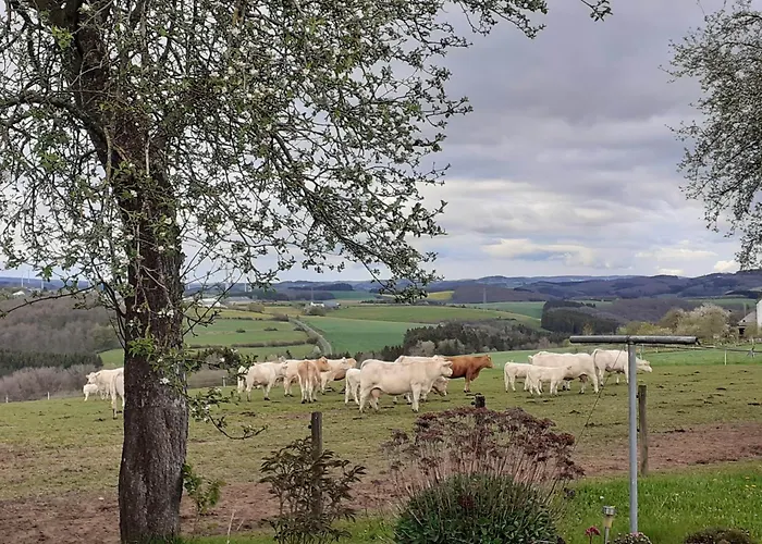 Appartement Urlaub Mit Hund Auf Dem Bauernhof Hofswald Euscheid