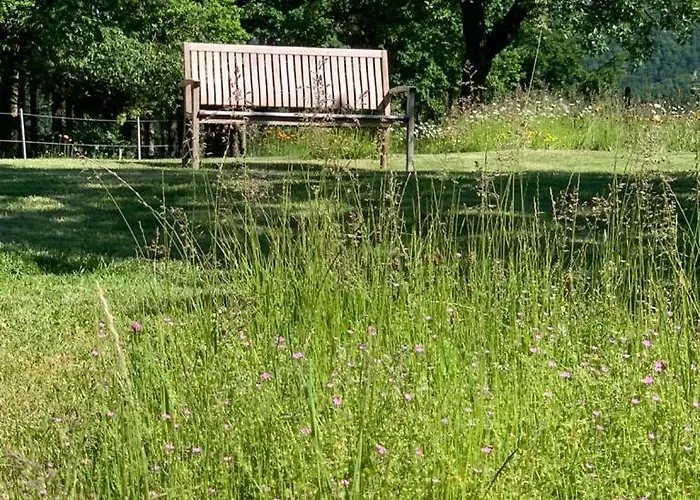 Urlaub Mit Hund Auf Dem Bauernhof Hofswald * Euscheid