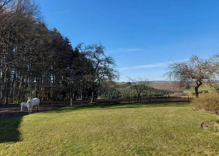Urlaub Mit Hund Auf Dem Bauernhof Hofswald