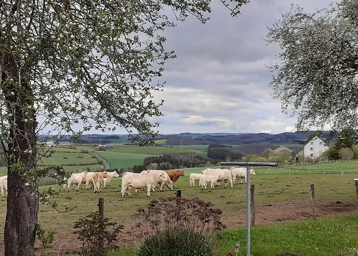 Urlaub Mit Hund Auf Dem Bauernhof Hofswald Appartement