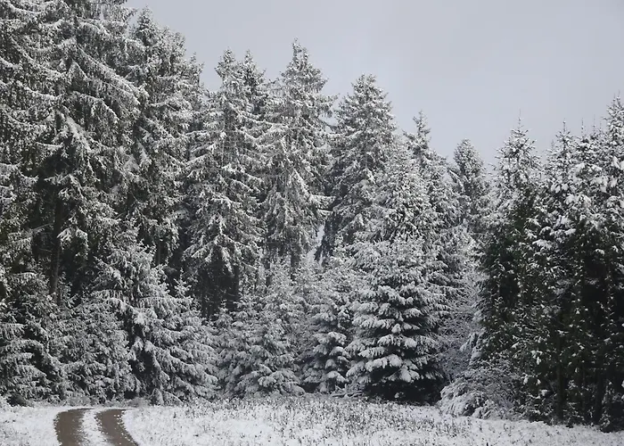 Appartement Urlaub Mit Hund Auf Dem Bauernhof Hofswald