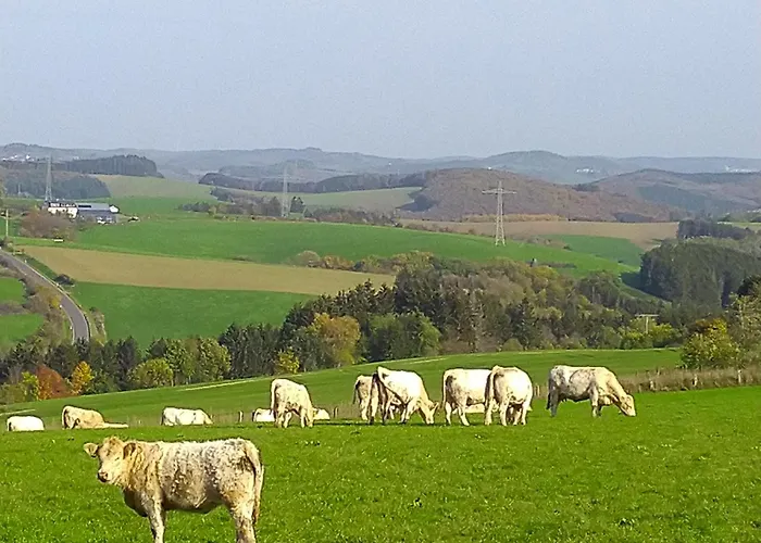 Appartement Urlaub Mit Hund Auf Dem Bauernhof Hofswald *