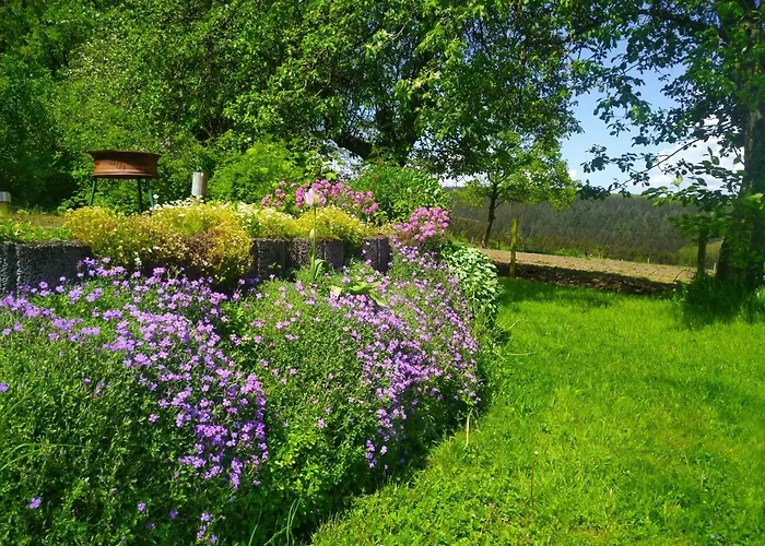Urlaub Mit Hund Auf Dem Bauernhof Hofswald Euscheid